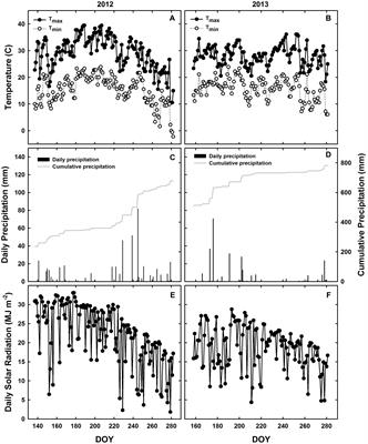 Photosynthesis, Light Use Efficiency, and Yield of Reduced-Chlorophyll Soybean Mutants in Field Conditions